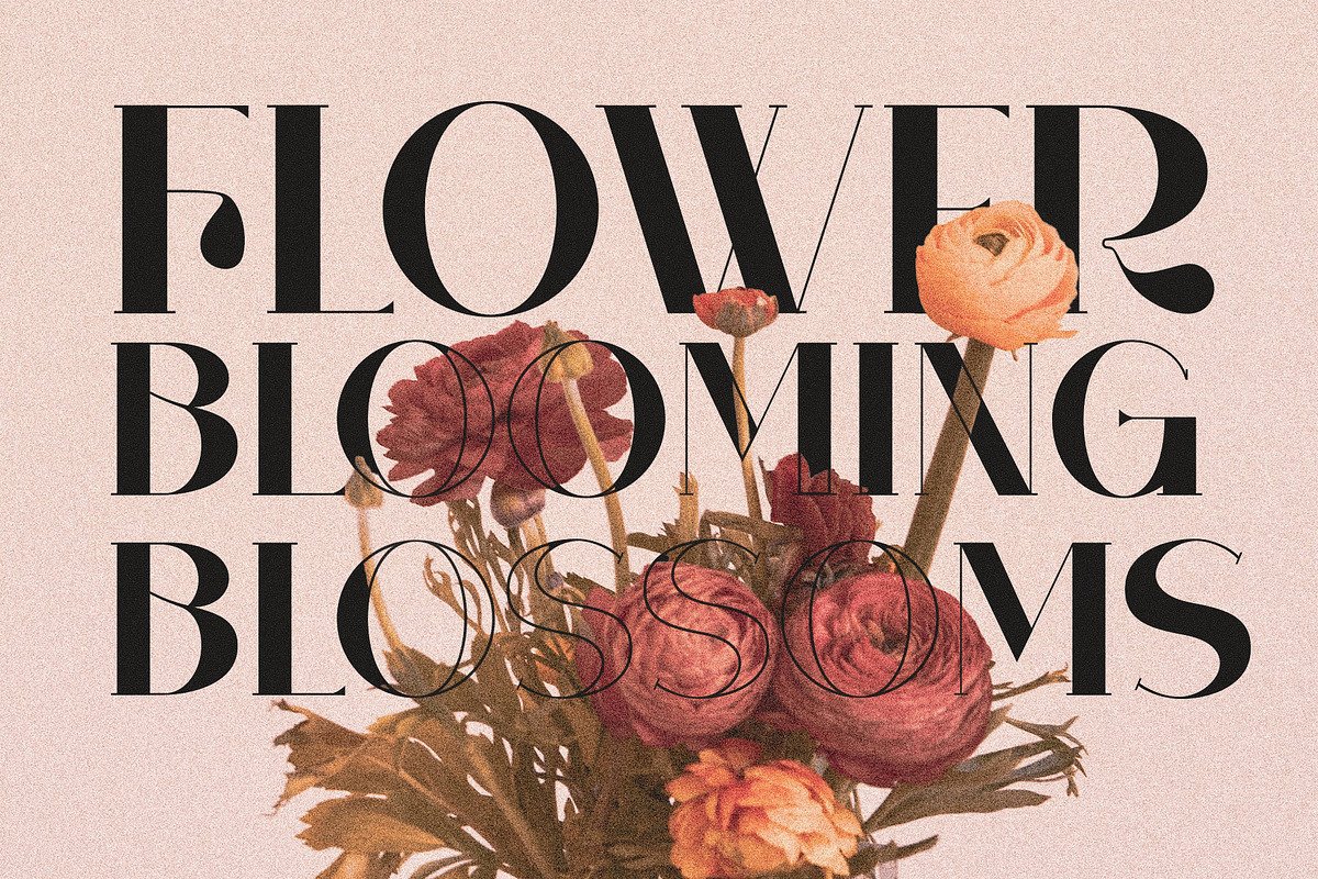 Karome Elegant & Unique Serif Font, a Serif Font by Perfectype (Photo 2 of 7)