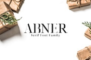 Abner Serif Font Family, a Serif Font by Creativetacos (Thumbnail 1 of 6)
