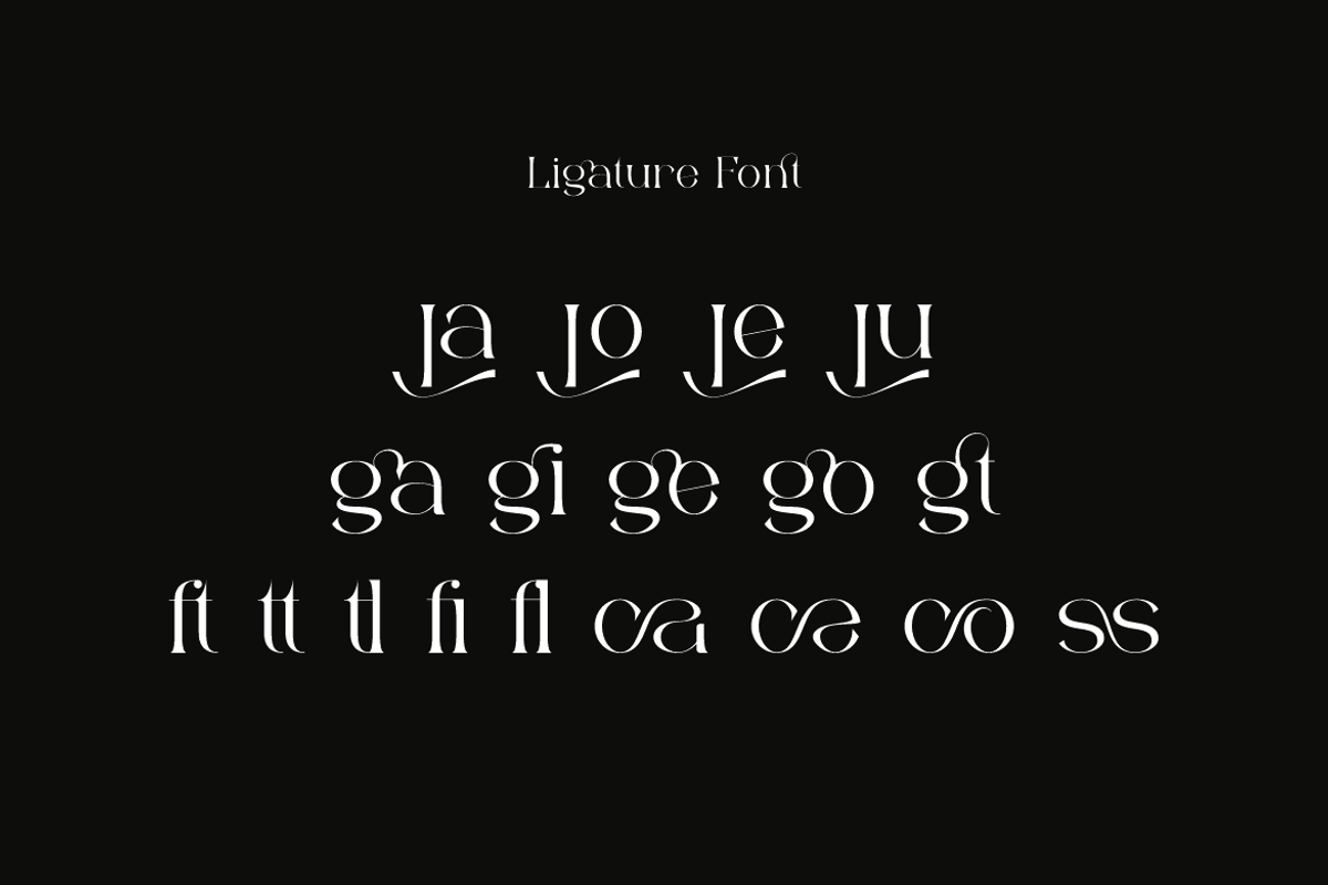 Bonuko - Modern Ligature Serif Font, a Serif Font by Iqsiart Studio (Photo 2 of 16)