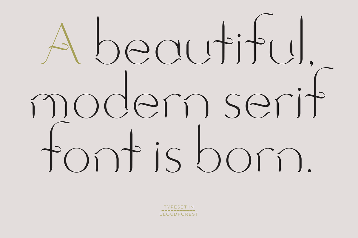 Cloudforest. Chic, modern serif font, a Serif Font by LostandFoundry (Photo 4 of 5)