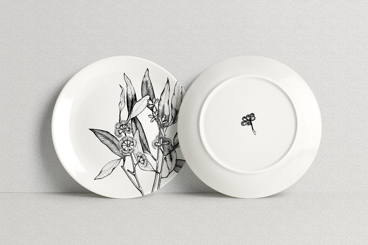 Eucalyptus Illustrations & Extras, an Illustration by Valeryia Aranovich (Photo 5 of 6)
