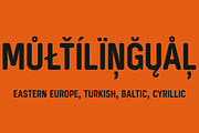 Targo 4F (Family), a Sans Serif Font by 4th february type foundry (Thumbnail 3 of 4)