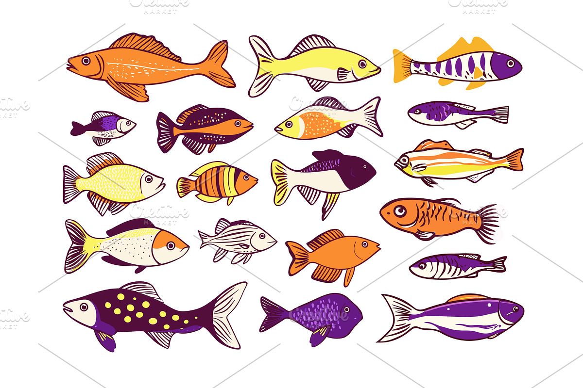 Cartoon fishes. Tuna mackerel, an Animal Illustration by Stock-Smart-Start