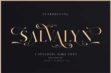 Salvalyn - Stylistic Serif Font