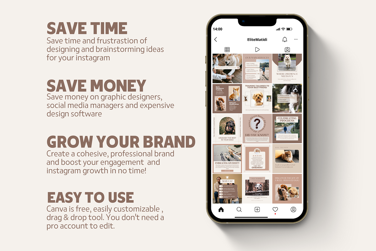 Dog Training Instagram Templates, a Social Media Template by EliteMatidi (Photo 6 of 8)