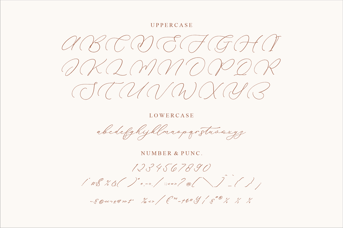 Madyntha Geradine Chic Calligraphy, a Script Font by Storytype Studio (Photo 13 of 15)