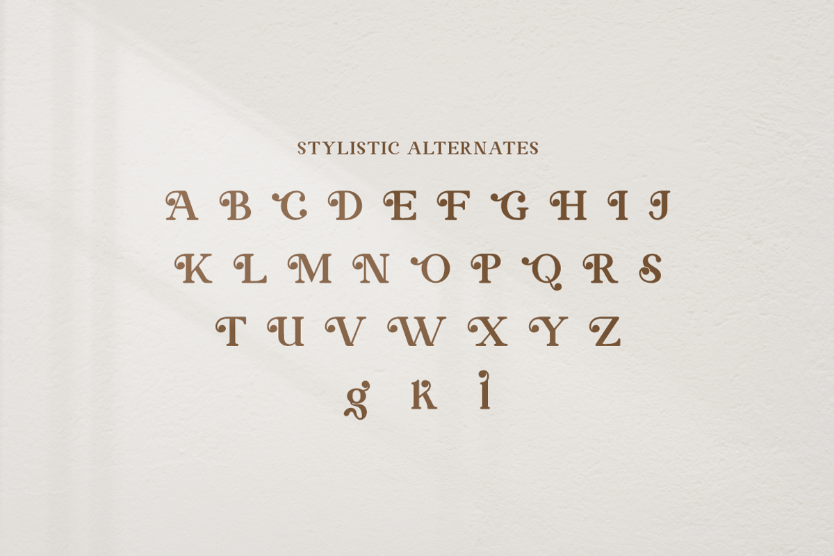 Contagia - Modern Stylish, a Serif Font by RockboyStd (Photo 11 of 12)