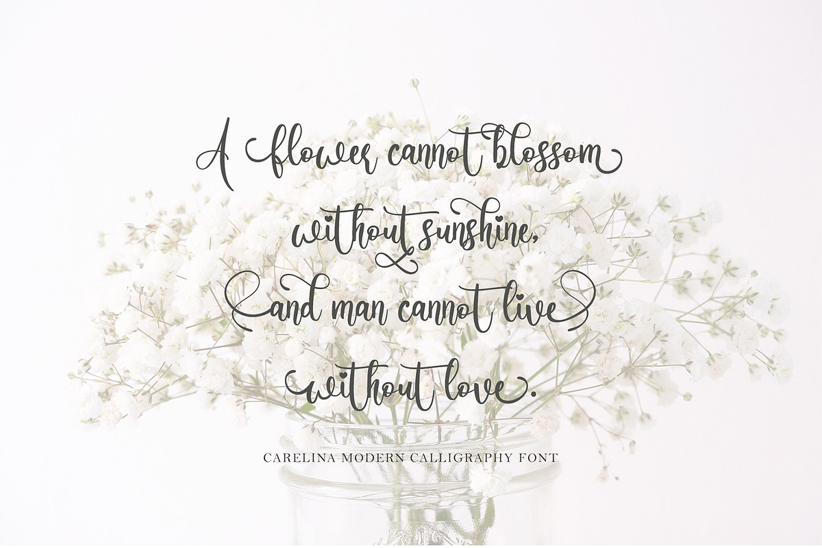 Carelina - Modern Calligraphy, a Script Font by erlosDESIGN (Photo 7 of 12)