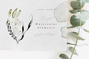 Hazel - Artisan Flowers & Watercolor, an Illustration by Laras Wonderland (Thumbnail 2 of 12)