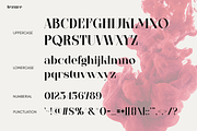 Tezure, a Serif Font by Pinisi ART (Thumbnail 2 of 10)