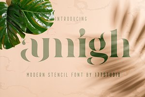 Amigh - Modern Serif Font, a Serif Font by 177Studio