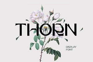 Thorn Font