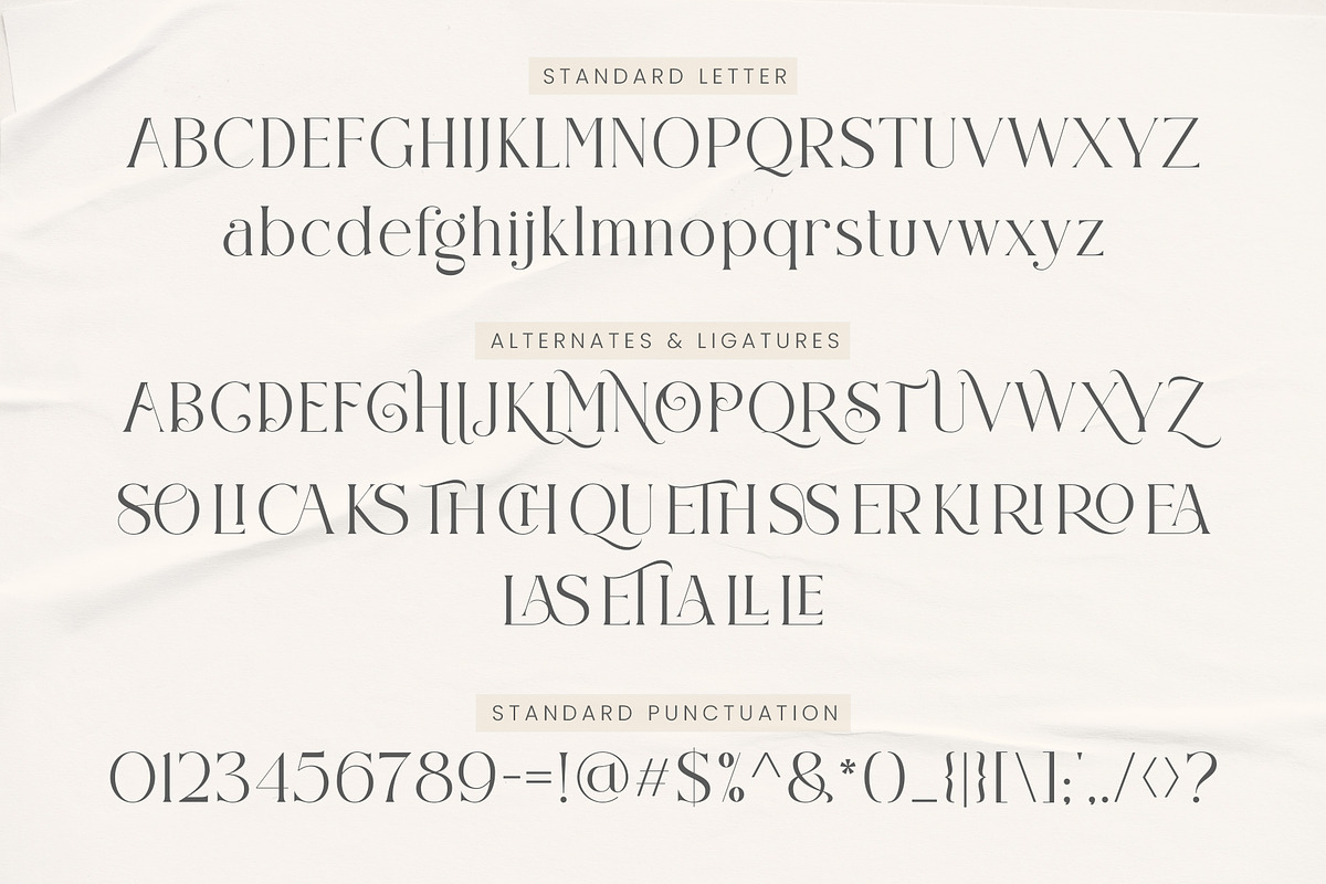 Claster Oleander, a Font by ToniStudio (Photo 7 of 11)