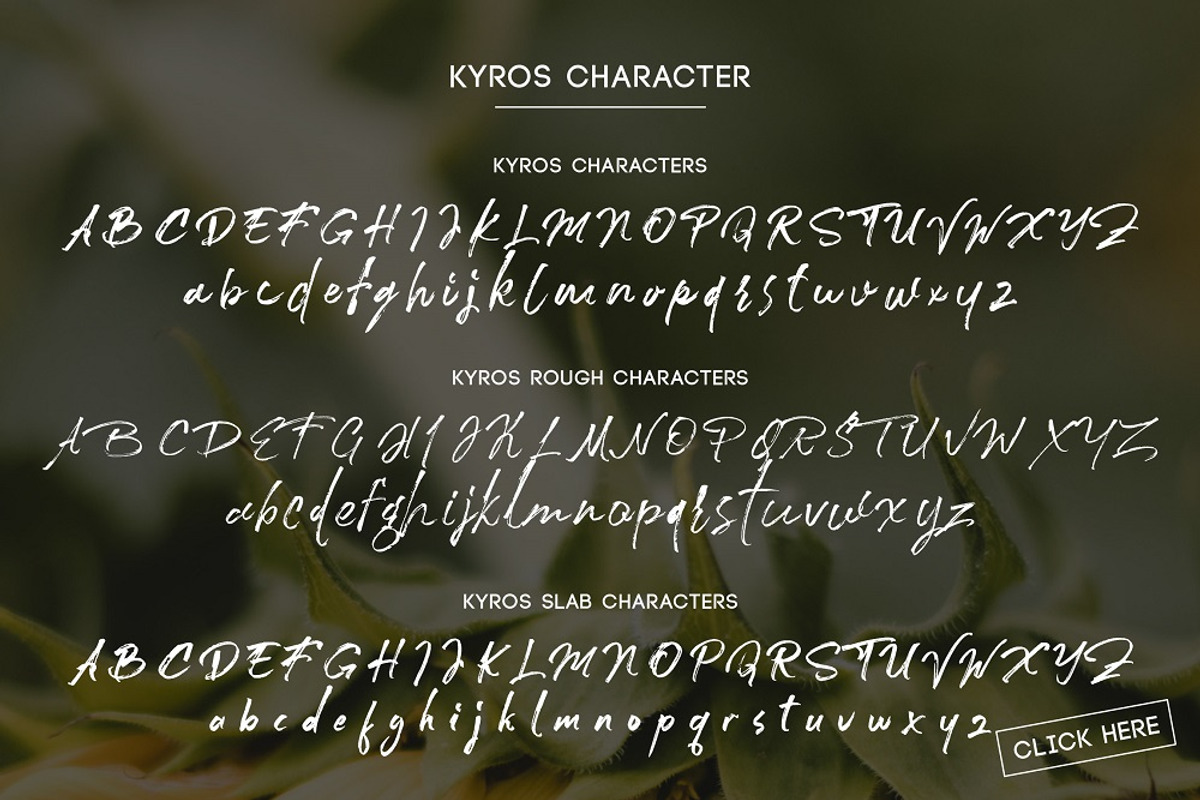 Kyros, a Script Font by Bokuto Studio (Photo 11 of 11)