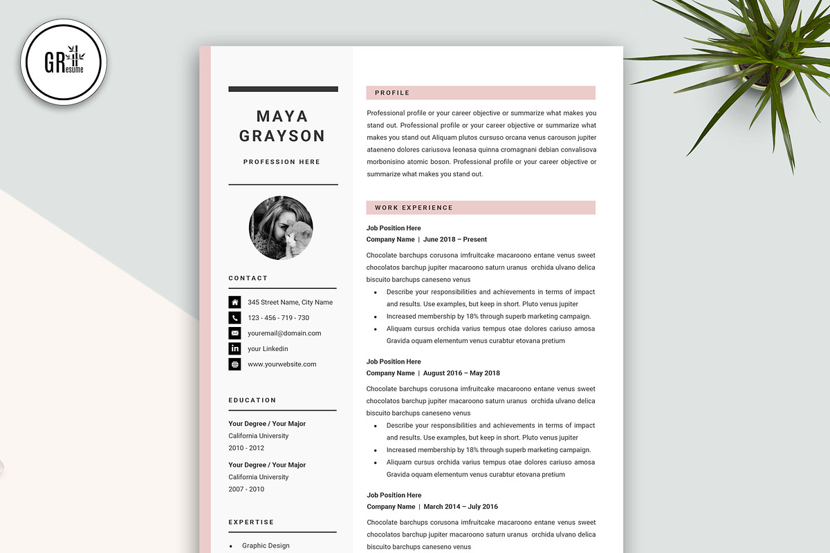 Professional Resume CV Template, a Resume Template by GResume (Photo 2 of 7)