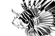 Tropical fish. Vector illustration, an Animal Illustration by Tettygreen (Thumbnail 2 of 3)