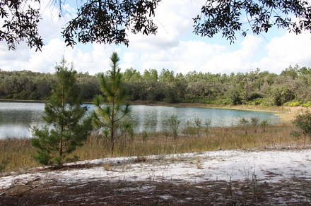 Lake in Gold Head Branch State Park