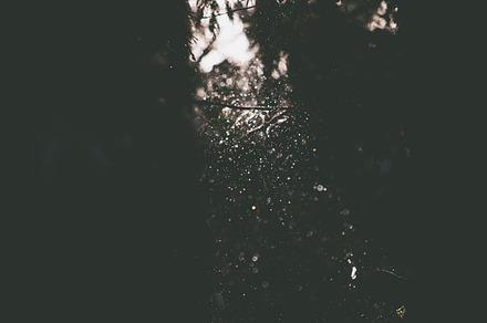 Wet Snow & Light Ray