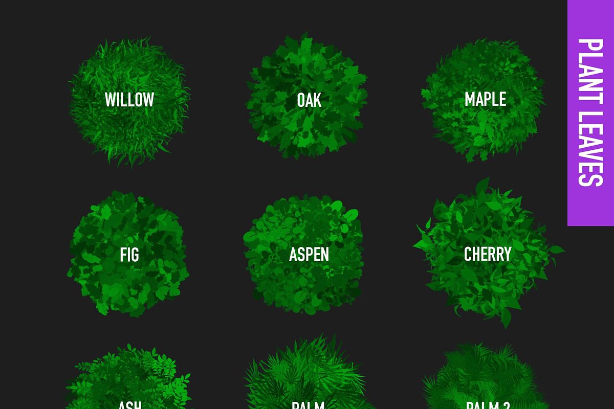 Foliage Brushes for Affinity, a Brush Add-On by seamless team (Photo 5 of 6)