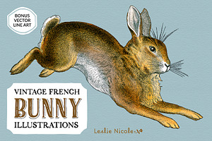 Vintage French Bunny Illustrations