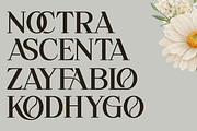 Overse - Modern Serif Typeface, a Serif Font by Font Liner (Thumbnail 4 of 12)
