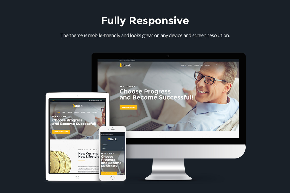 Bitcoin WordPress Theme, a WordPress Template by Zemez (Photo 5 of 6)