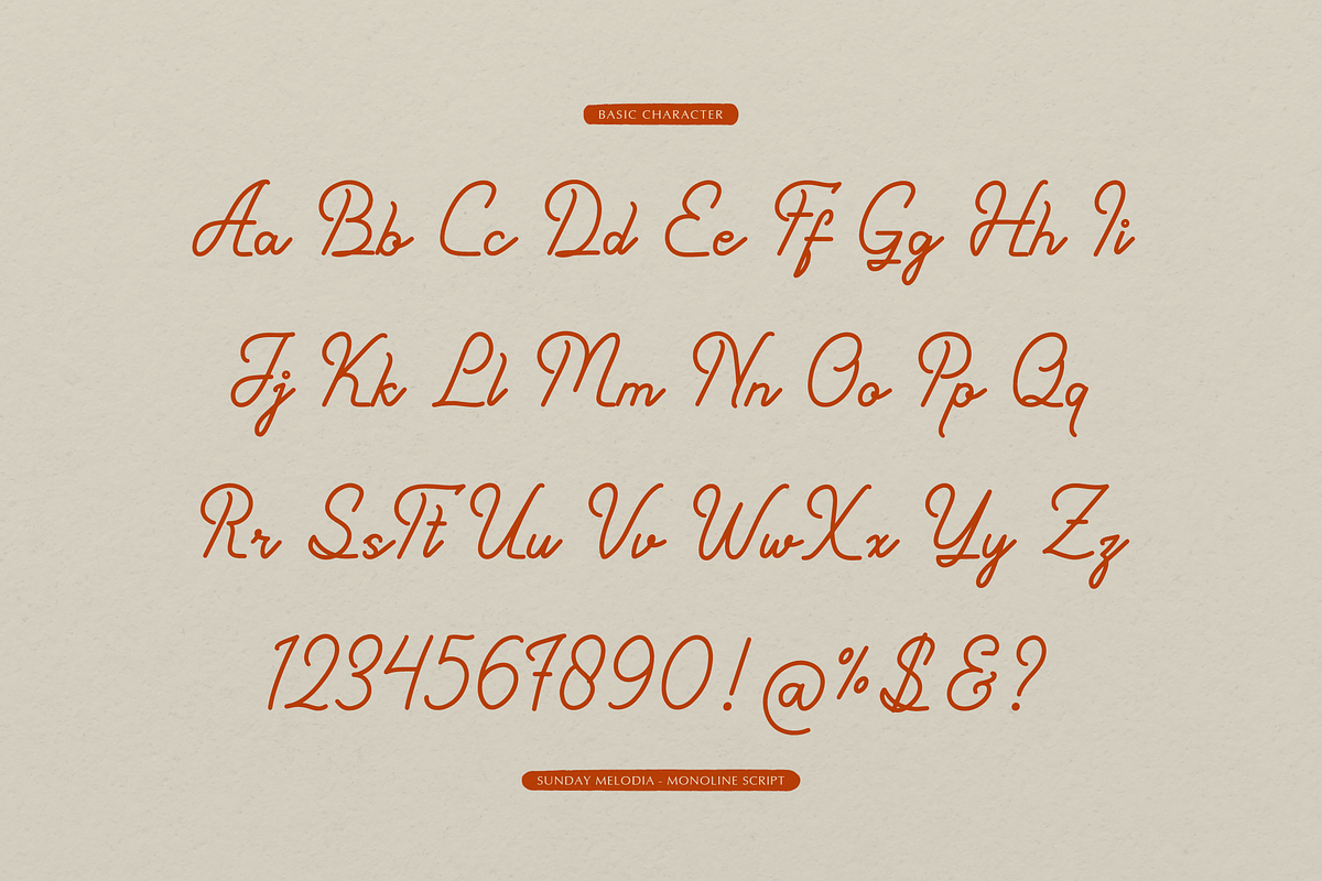 Sunday Melodia | Monoline Script, a Script Font by gracetype_studio (Photo 10 of 12)