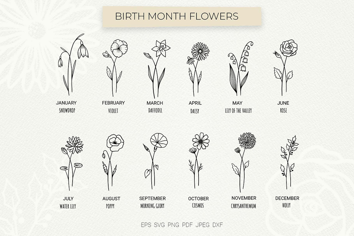 Birth Month Flowers – Floral Zodiac, an Object Graphic by Irina Ostapenko (Photo 1 of 7)