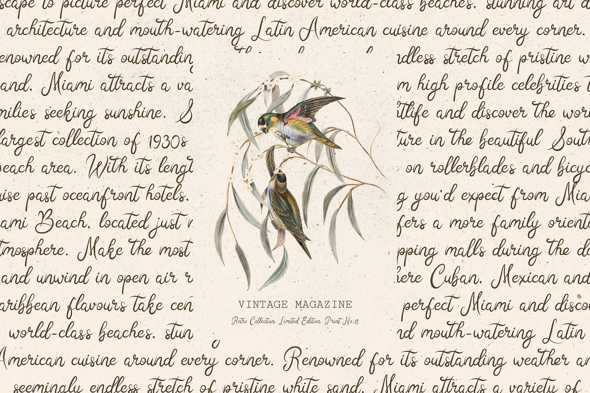 Sunday Dreams Script & Doodles, a Handwritten Font by DesignThatMatters (Photo 4 of 12)