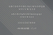 Rikatin – Stylish Display Serif Font, a Serif Font by BrandSemut (Thumbnail 7 of 8)