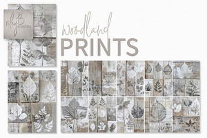Woodland Prints, a Decorative Illustration by rileyBgraphics