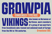 Growpia - A Modern Condensed Font, a Sans Serif Font by Marvadesign (Thumbnail 2 of 7)