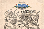 Enchanted Sea Bundle Fantasy Marine, an Animal Illustration by Ink Stories (Thumbnail 40 of 54)
