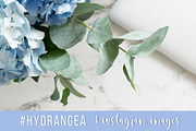 #Hydrangea. 4 Instagram images, a Product Mockup by Bang Bang Bureau (Thumbnail 1 of 4)