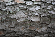 MegaPack 45+ Textures - Pack 2 preview 3