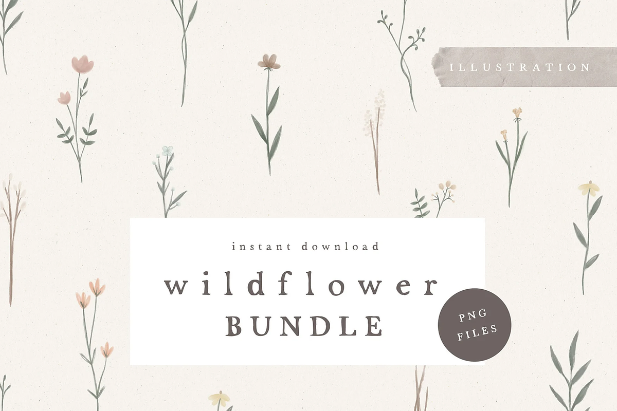 WILDFLOWER ILLUSTRATION / png, an Illustration by KruthDesign (Photo 1 of 4)