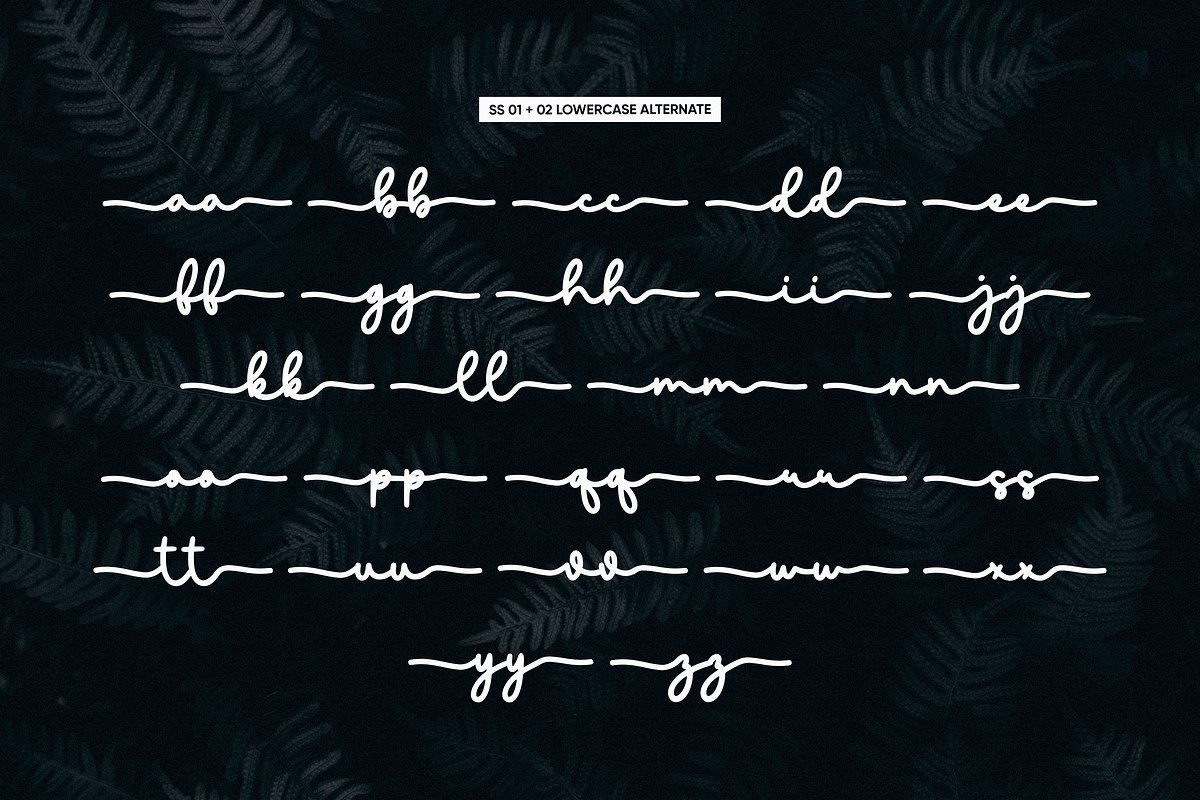 minadine, a Script Font by Essentials Studio (Photo 8 of 9)