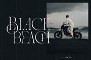 Asther - Fashion Font, a Serif Font by Ivan Rosenberg (Thumbnail 7 of 19)