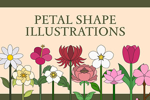Petal Shape Illustration