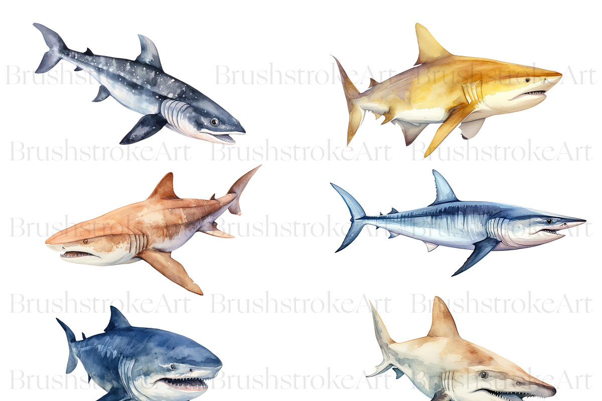 Watercolor Shark Clipart, Shark PNG, an Animal Illustration by BrushstrokeArtGB (Photo 4 of 9)