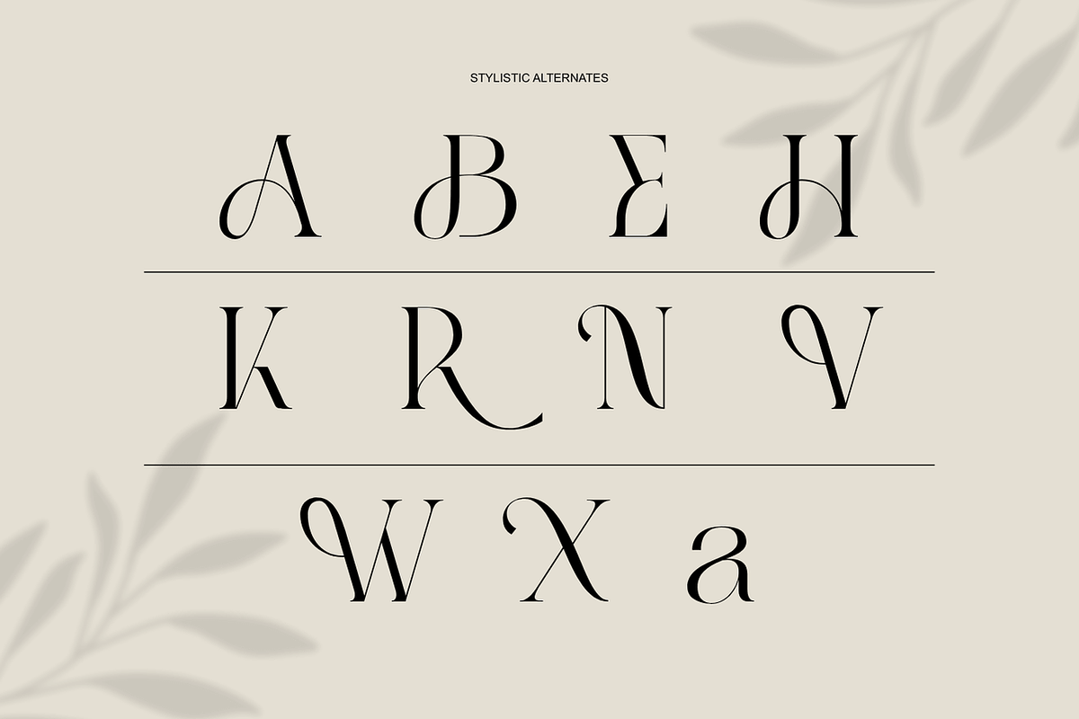 Abask - Modern Ligatures Font, a Serif Font by Nirmana Visual (Photo 7 of 12)