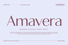 Amavera Modern Elegant Sans Font