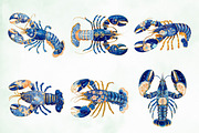 Pastel Summer Lobster Clipart, an Animal Illustration by Creative Art (Thumbnail 4 of 8)