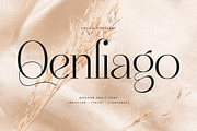 Qenliago Modern Serif Font, a Serif Font by Storytype Studio (Thumbnail 1 of 15)
