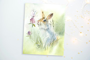 Watercolor Set Rabbits, an Animal Illustration by Budogoshch (Thumbnail 5 of 9)