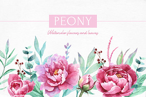 Watercolor Pink Peony, Png Clipart