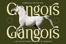 Gangors Modern Serif Font