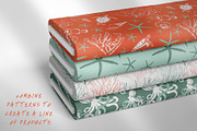 Sea life | Seamless Patterns, a Pattern Graphic by The Collective Studio (Thumbnail 7 of 8)