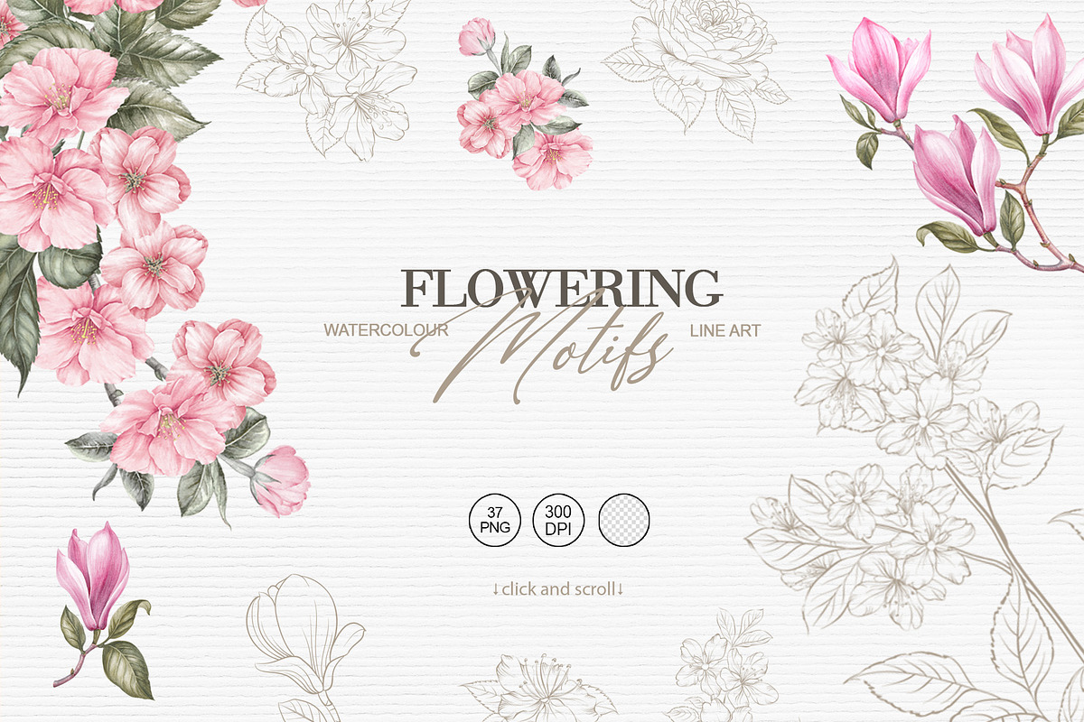 Blooming Paris. Motifs,Frame,pattern, an Illustration by Kotkoa (Photo 20 of 21)