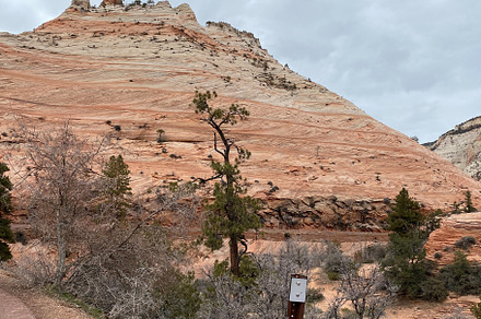 Photo of Zion Canyon in Zion National Park Along Zion Park Blvd in Springdale U, a Nature Photo by patrimonio